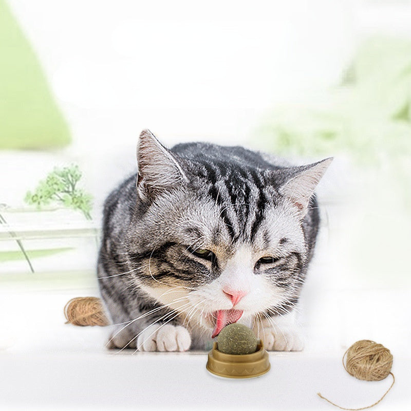 Natural Catnip Dental Health Balls - Teeth Cleaning Treats | EcoUrbanPaws