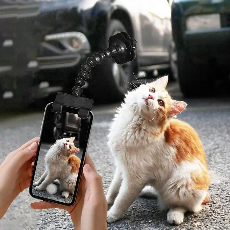 Pet Selfie Stick - Perfect Photos Every Time | EcoUrbanPaws