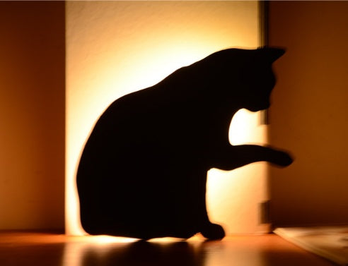 LED Animal Night Light - Cute Dog & Cat Shapes | EcoUrbanPaws