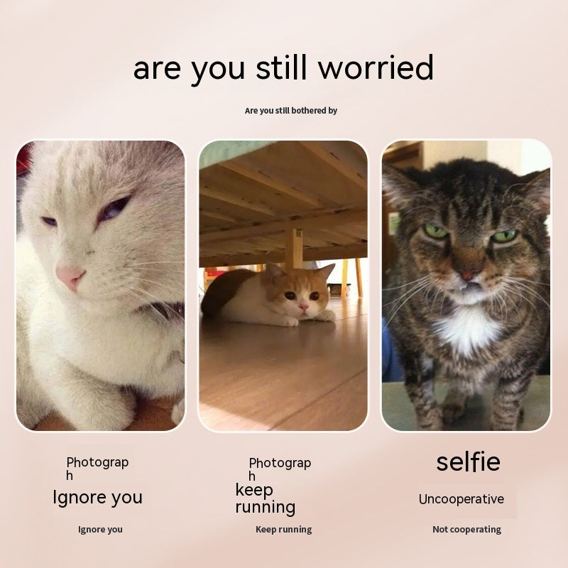 Pet Selfie Stick - Perfect Photos Every Time | EcoUrbanPaws