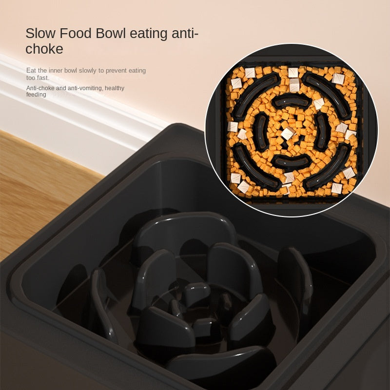 Adjustable Height Double Dog Bowls - Stainless Steel Stand | EcoUrbanPaws