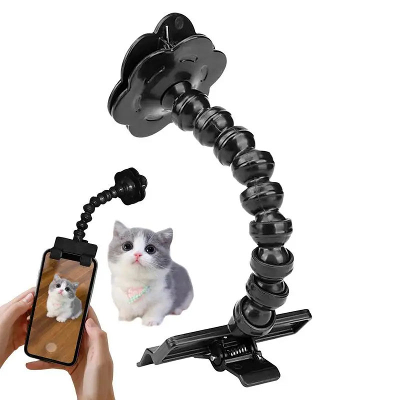 Pet Selfie Stick - Perfect Photos Every Time | EcoUrbanPaws