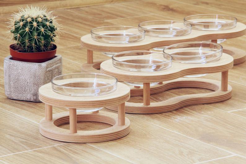 Pet Dining Set with Utensils - Complete Feeding Solution | EcoUrbanPaws