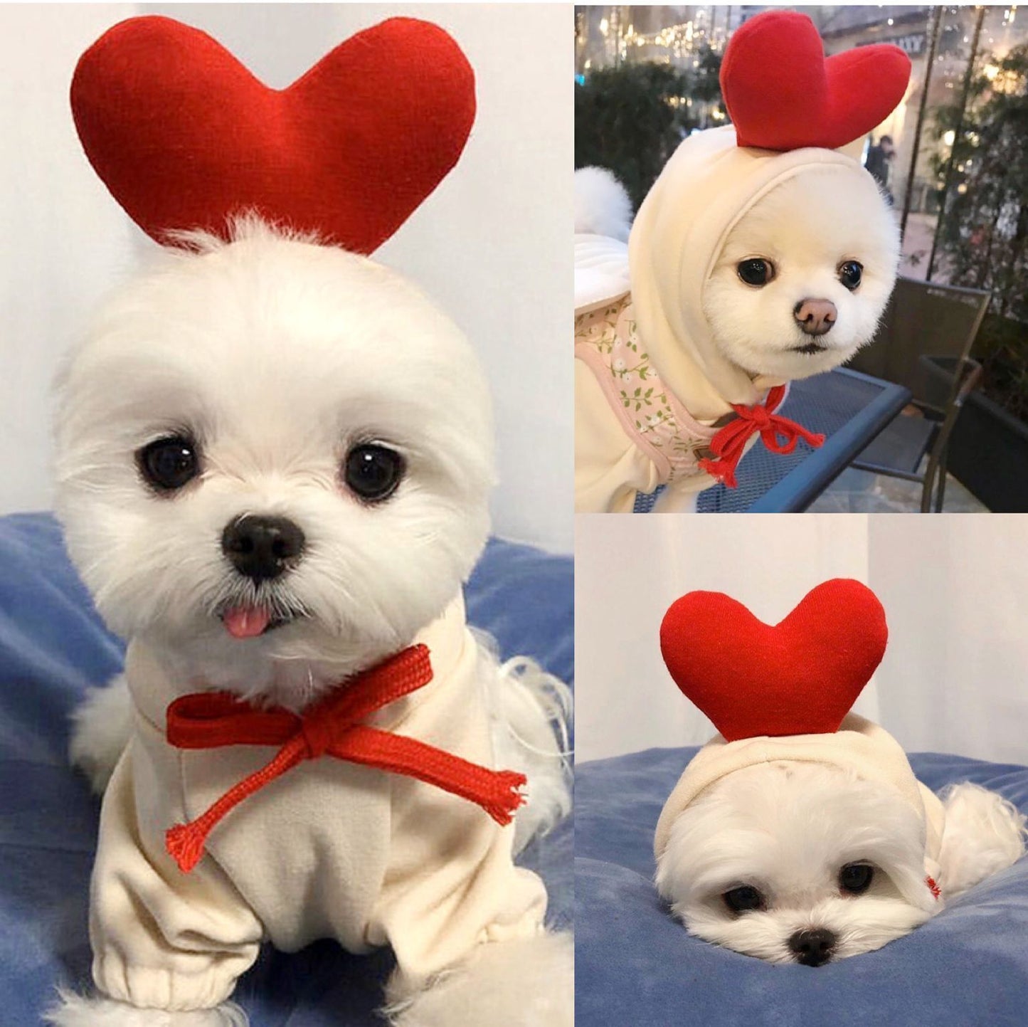 Warmth & Style Fleece Hoodies - Small Dog Winter Wear | EcoUrbanPaws