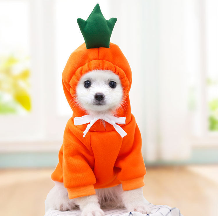 Warmth & Style Fleece Hoodies - Small Dog Winter Wear | EcoUrbanPaws