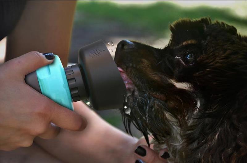 Foldable Travel Water Bottle - Hydration On-The-Go | EcoUrbanPaws