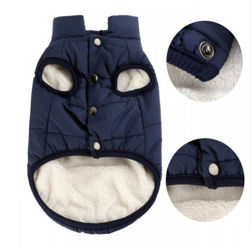 Teddy Dog Winter Clothes - Cotton Comfort Vest | EcoUrbanPaws