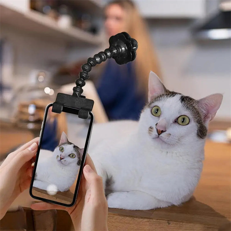 Pet Selfie Stick - Perfect Photos Every Time | EcoUrbanPaws