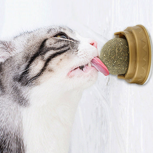 Natural Catnip Dental Health Balls - Teeth Cleaning Treats | EcoUrbanPaws