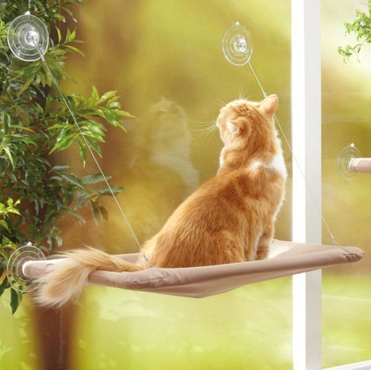 Cat Sunny Window Seat - Comfortable Perch | EcoUrbanPaws