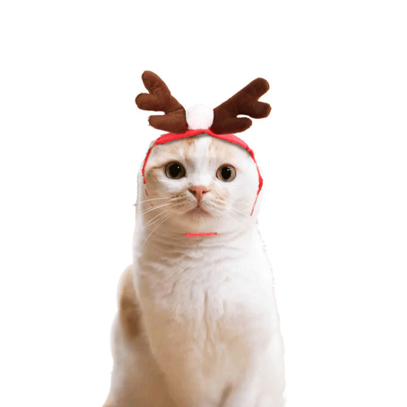 Festive Pet Costume Cloak - Holiday Fun & Photos | EcoUrbanPaws