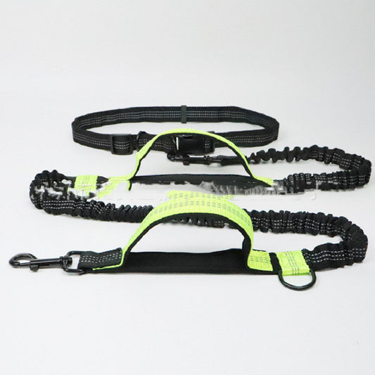 Hands-Free Running Leash - Active Dog Owner Essential | EcoUrbanPaws