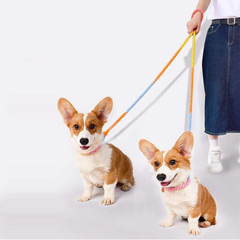 Gradient Cotton Rope Leash - Hand-Dyed Dual Head Design | EcoUrbanPaws