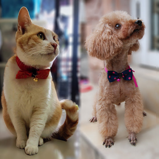 Stylish Pet Bow Tie - Eco-Friendly Fashion Accessory | EcoUrbanPaws