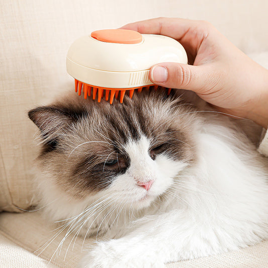 Electric Steam Cat Brush - Self-Cleaning Grooming Tool | EcoUrbanPaws