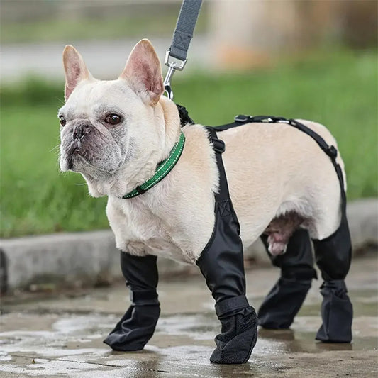 Waterproof Dog Boots - All-Weather Paw Protection | EcoUrbanPaws
