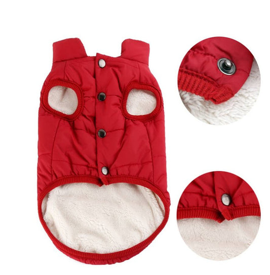 Teddy Dog Winter Clothes - Cotton Comfort Vest | EcoUrbanPaws