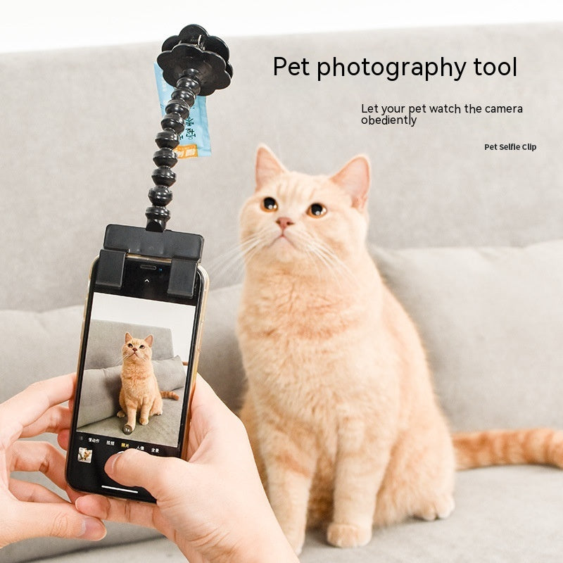 Pet Selfie Stick - Perfect Photos Every Time | EcoUrbanPaws
