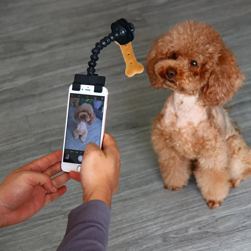 Pet Selfie Stick - Perfect Photos Every Time | EcoUrbanPaws