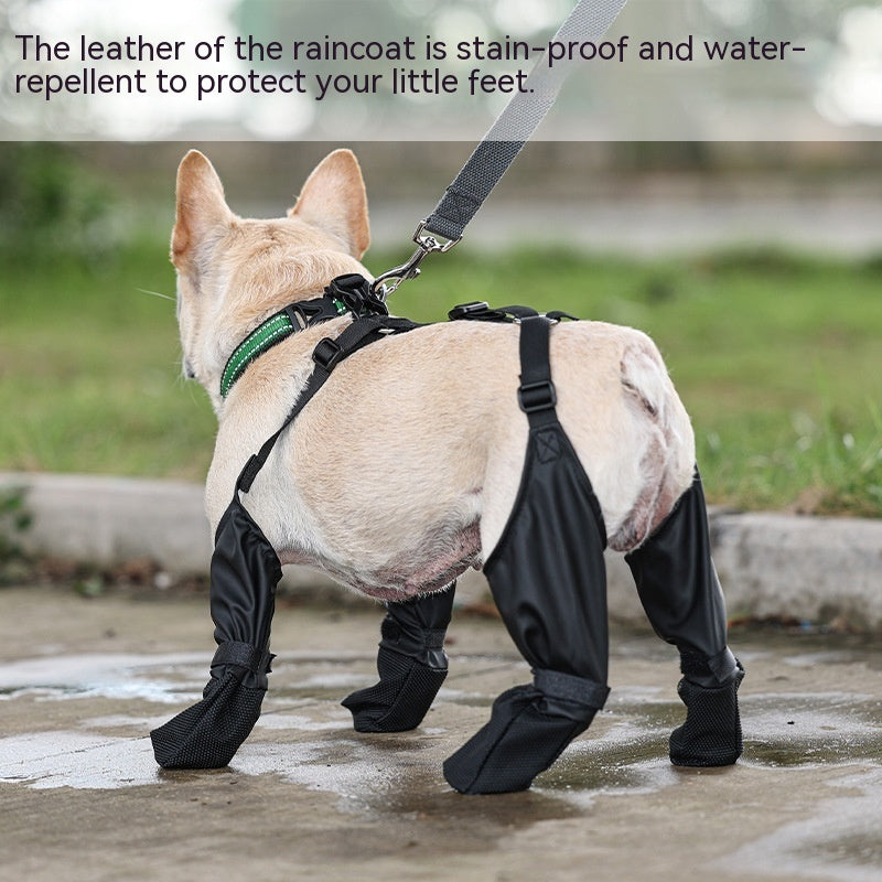 Waterproof Dog Boots - All-Weather Paw Protection | EcoUrbanPaws