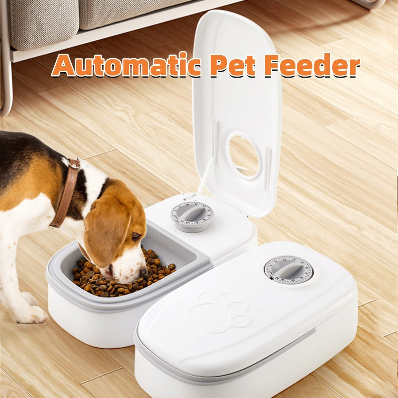 Smart Automatic Pet Feeder - Never Miss Feeding Time | EcoUrbanPaws