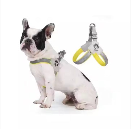 Pet Dog Cat Harness - Adjustable Reflective Control | EcoUrbanPaws