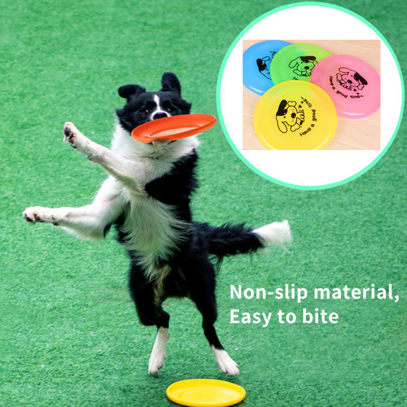 Dog Outdoor Interactive Toys - Active Play Collection | EcoUrbanPaws