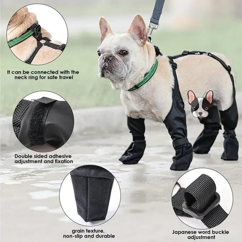 Waterproof Dog Boots - All-Weather Paw Protection | EcoUrbanPaws