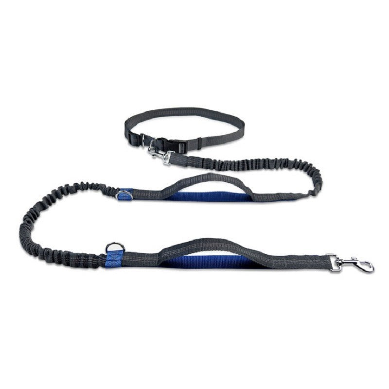 Hands-Free Running Leash - Active Dog Owner Essential | EcoUrbanPaws